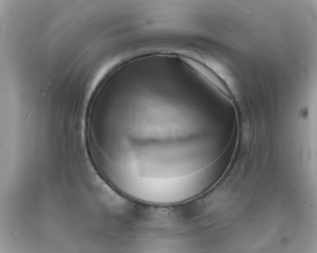 X0000090411334200707272041