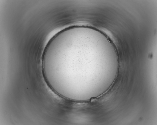 X0000090411335200707272041