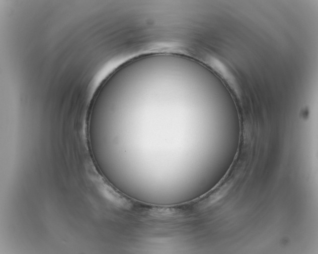 X0000090411336200707272041