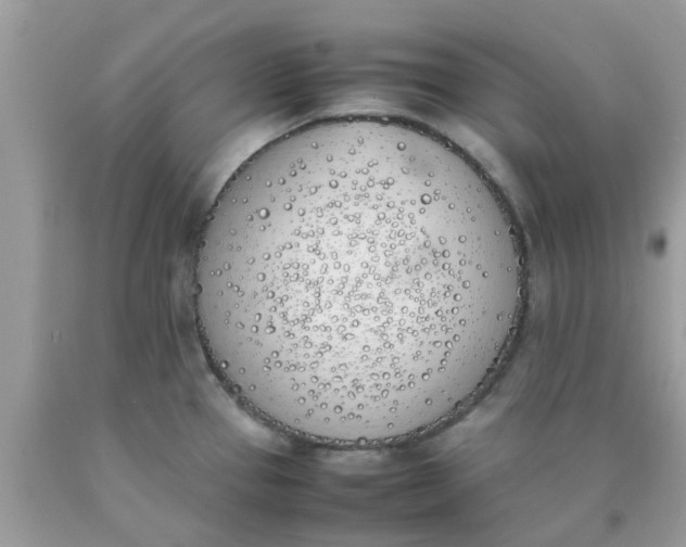 X0000090411337200707272041