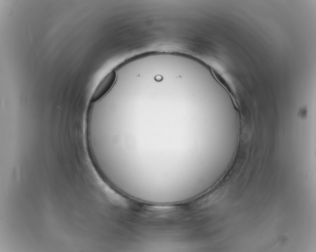 X0000090411343200707272041