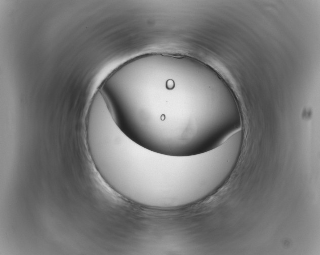 X0000090411344200707272041