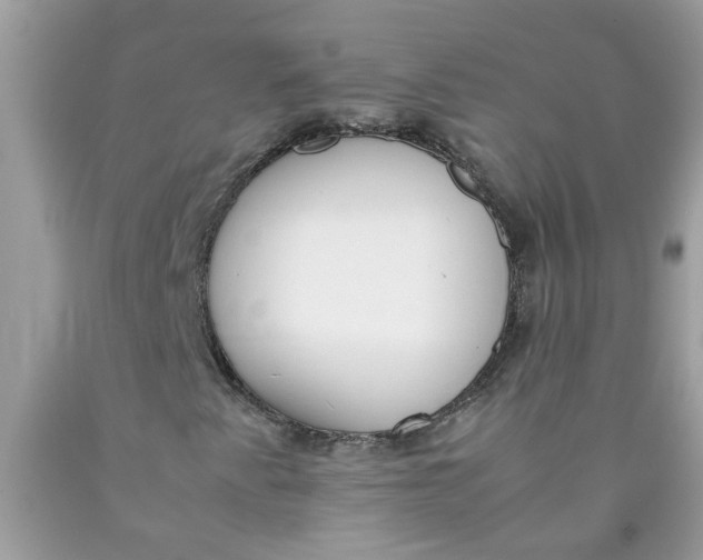 X0000090411345200707272040