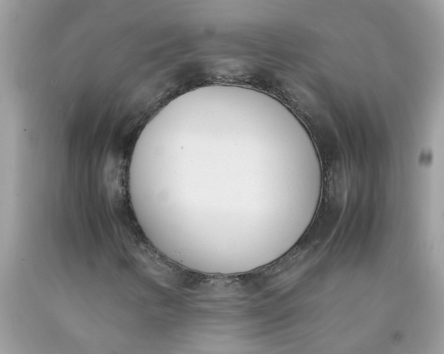 X0000090411346200707272040