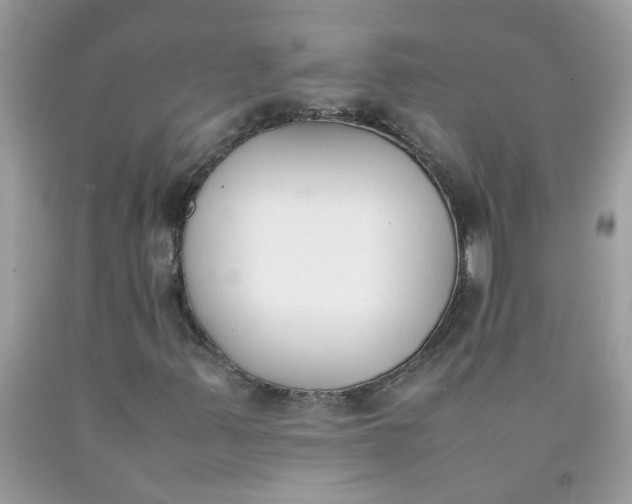 X0000090411347200707272040