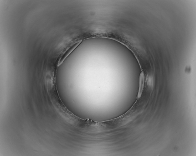 X0000090411348200707272040