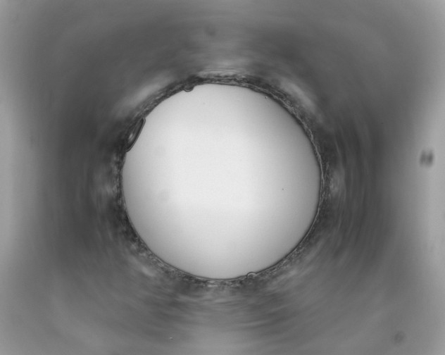 X0000090411350200707272040