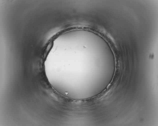 X0000090411352200707272040