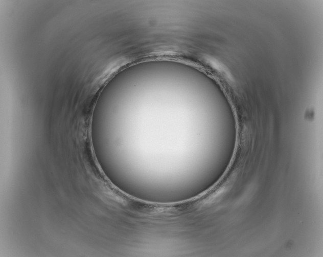 X0000090411353200707272040