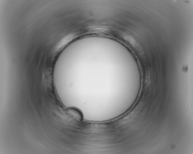 X0000090411354200707272040