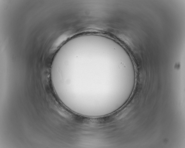 X0000090411355200707272040