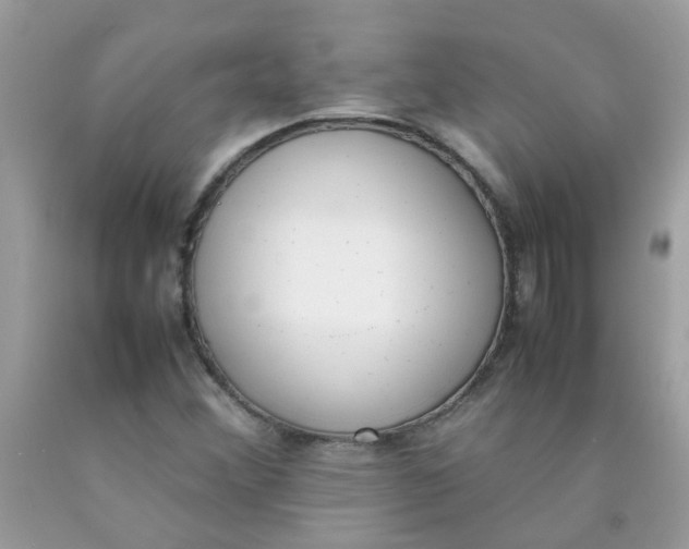 X0000090411356200707272040