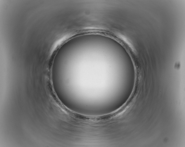 X0000090411357200707272040
