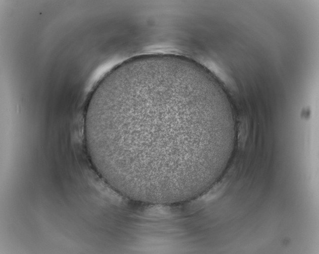 X0000090411358200707272040