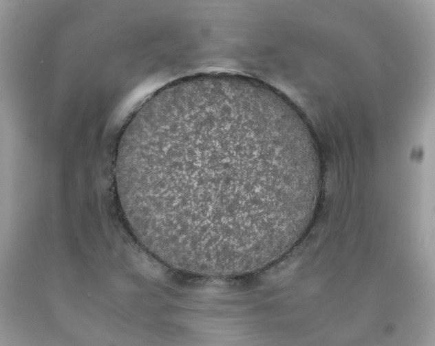 X0000090411359200707272040