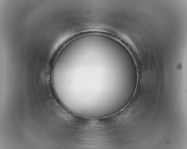 X0000090411360200707272040