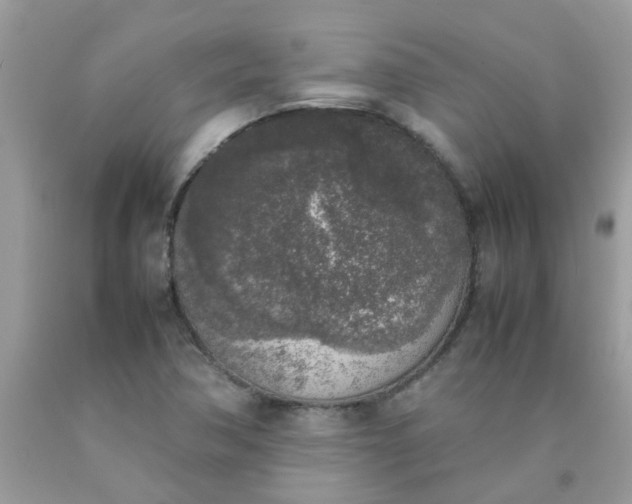 X0000090411362200707272040