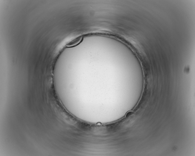 X0000090411363200707272040