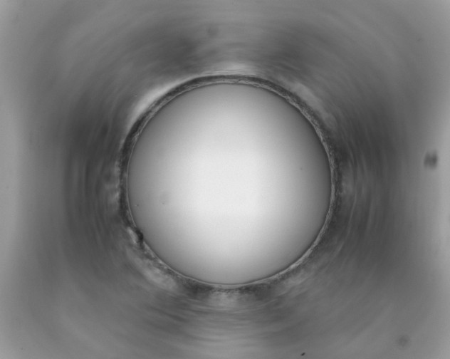 X0000090411364200707272040