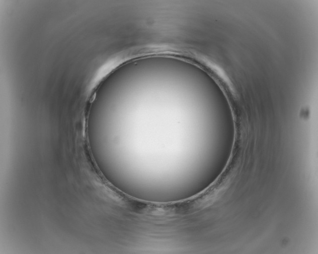 X0000090411365200707272040