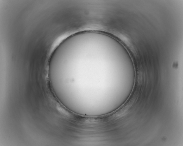 X0000090411366200707272040
