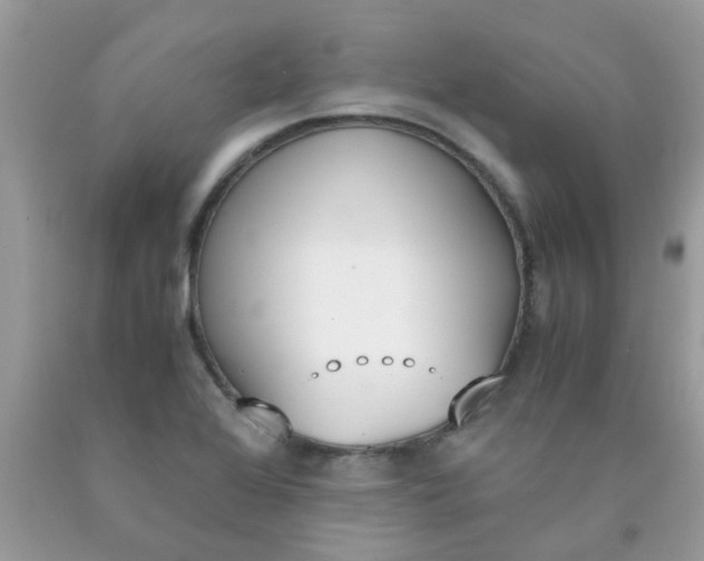 X0000090411368200707272040