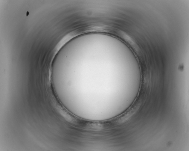X0000090411370200707272040