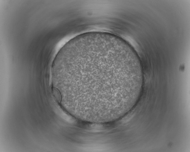 X0000090411371200707272040