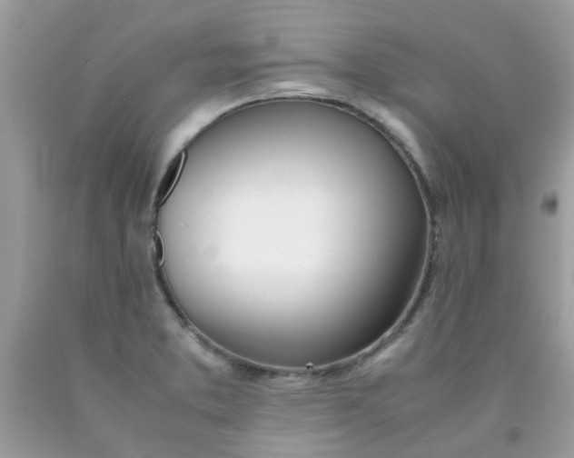 X0000090411373200707272040