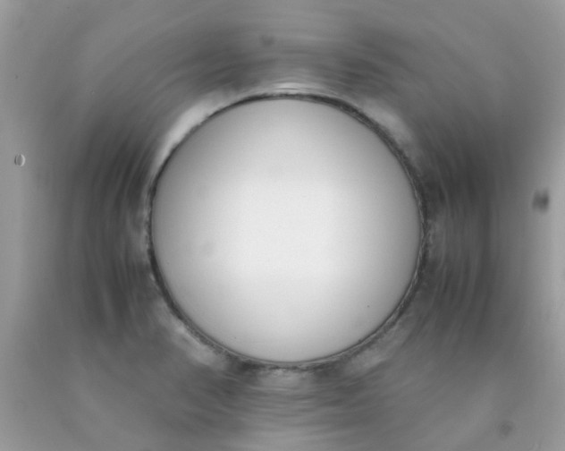 X0000090411374200707272040