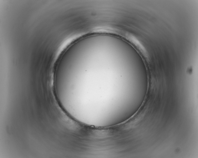 X0000090411376200707272040