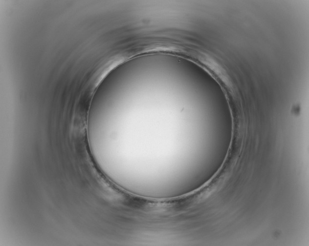 X0000090411377200707272040