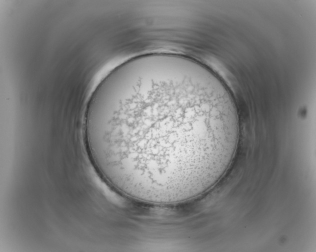 X0000090411379200707272040