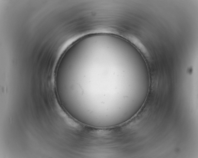 X0000090411380200707272040