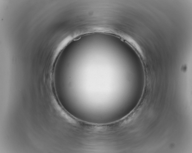 X0000090411381200707272040