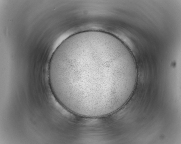 X0000090411382200707272040