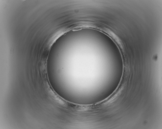 X0000090411385200707272040