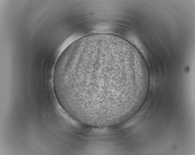 X0000090411386200707272040