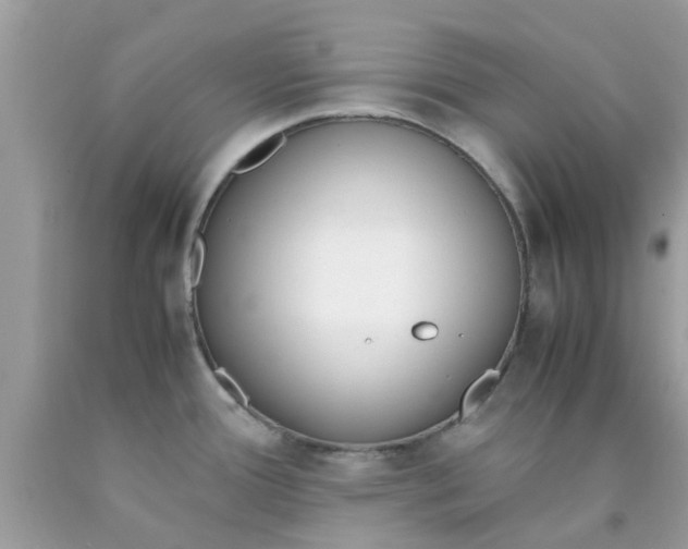 X0000090411388200707272040