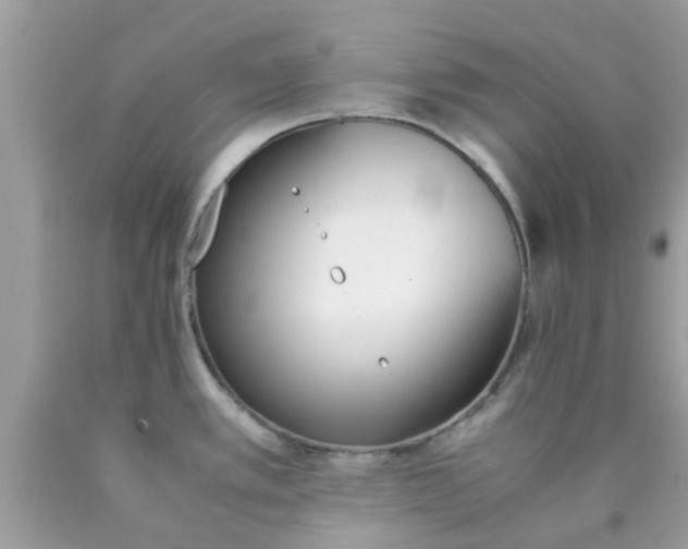 X0000090411389200707272040