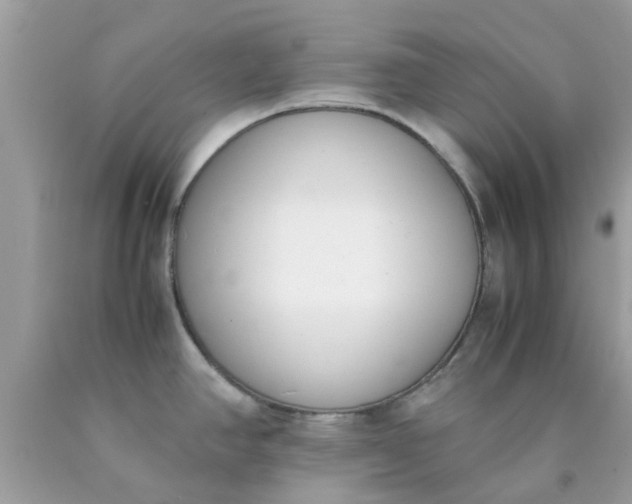 X0000090411390200707272040