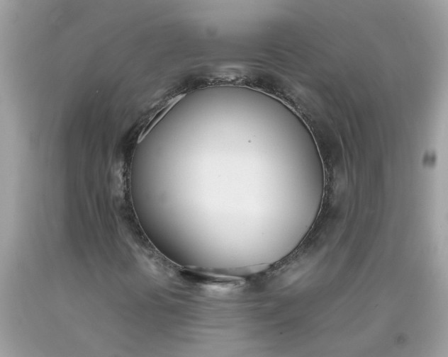 X0000090411394200707272039