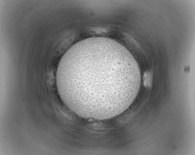 X0000090411395200707272039