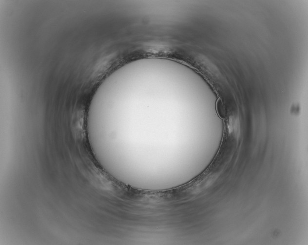 X0000090411396200707272039