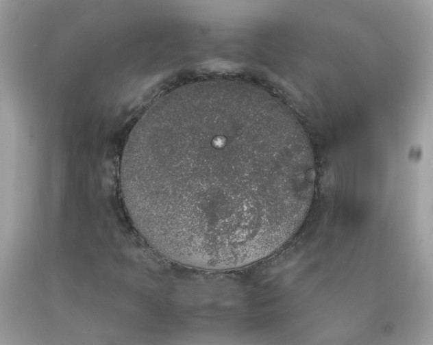 X0000090411397200707272039