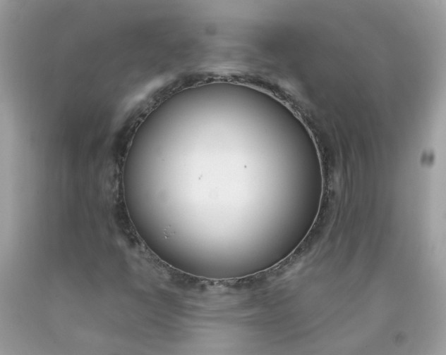 X0000090411398200707272039