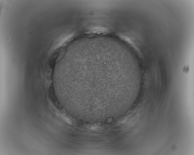 X0000090411399200707272039