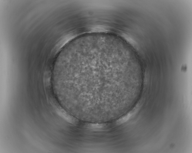 X0000090411401200707272039