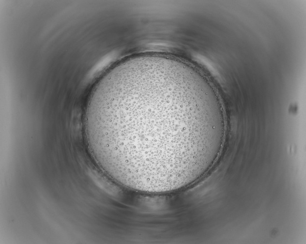 X0000090411403200707272039