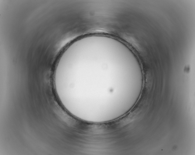 X0000090411404200707272039